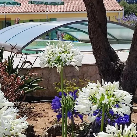 Apartamento 2P Kyrios Arts Atelier With Use Of Private Pool Carrascal (Leiria)