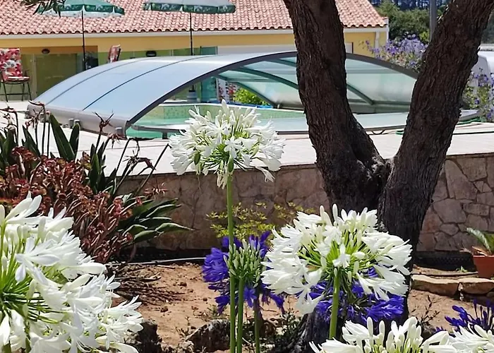דירה Kyrios Arts Atelier With Use Of Private Swimming Pool Carrascal (Leiria)